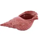 Ceramic Seashell Coral 12in