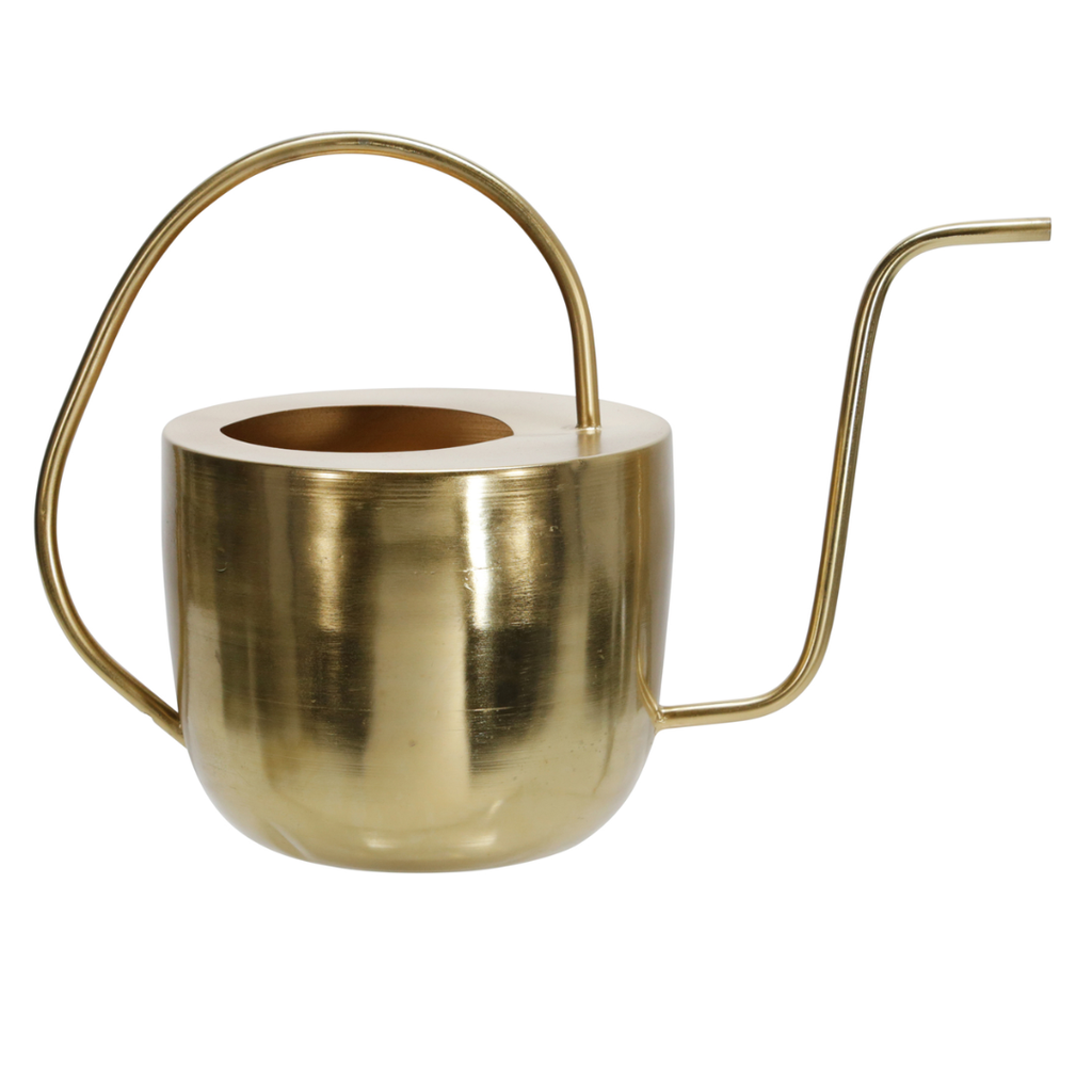 Flat Top Watering Can Gold 11in