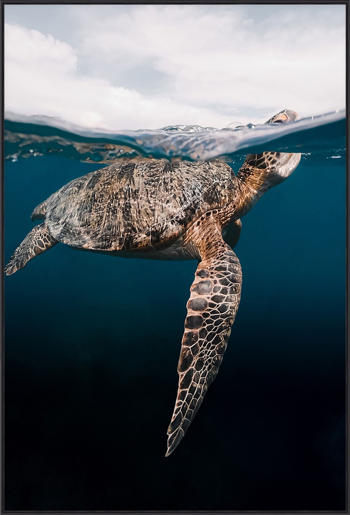 Sea Turtle Print on Tempered Glass 34WX50H