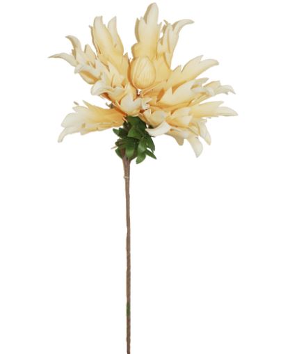 Spider Lily Yellow Stem 47in