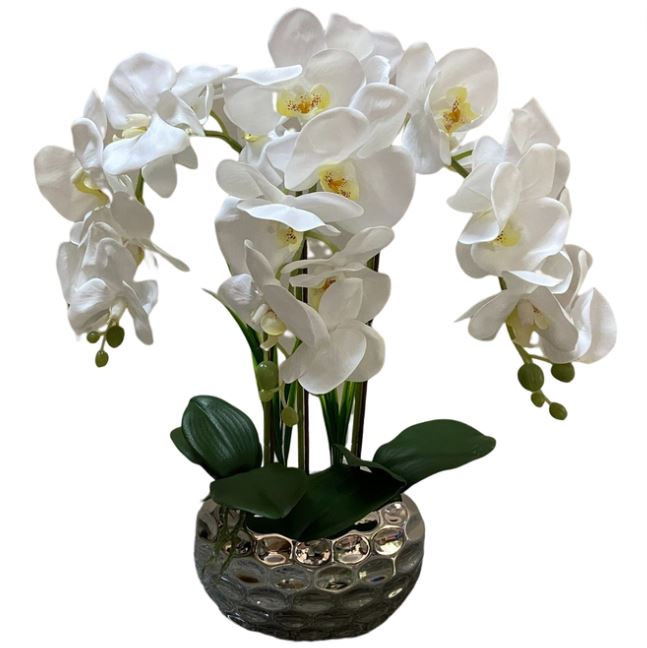 White Phalaenopsis Orchid in Hammered Metal Pot 19in