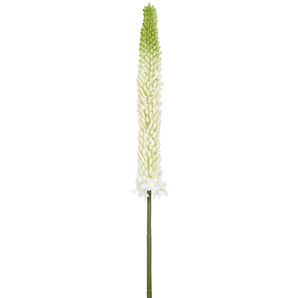 Foxtail Lily Spray White 33in