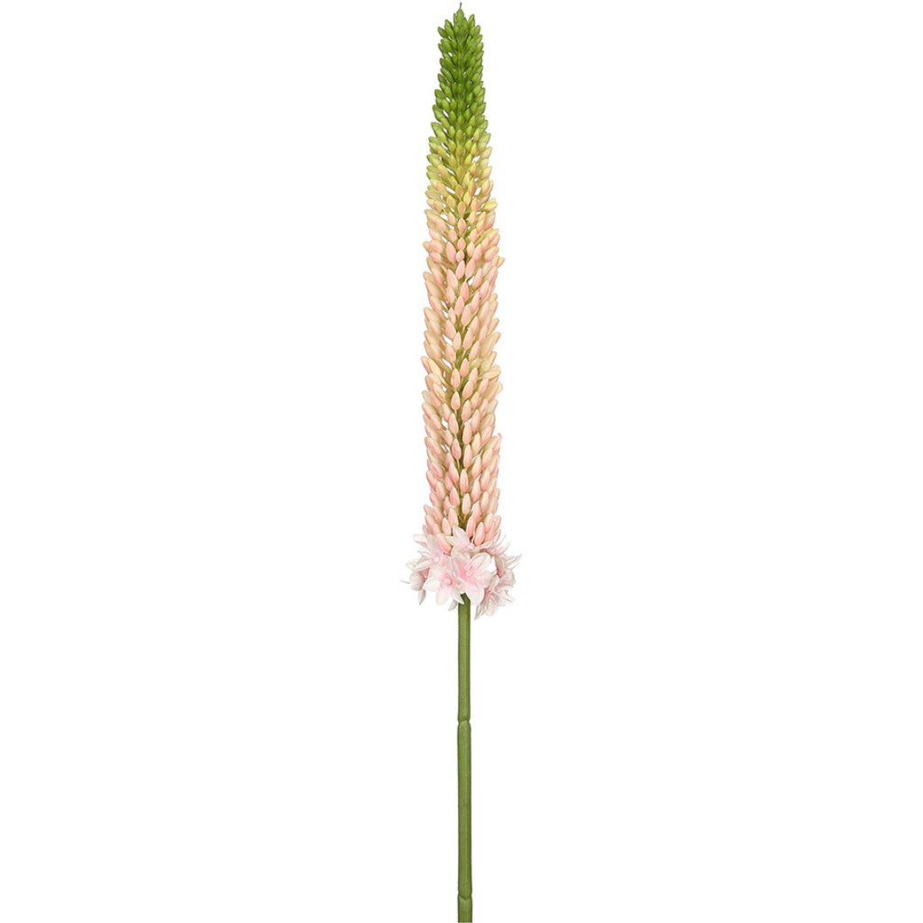 Foxtail Lily Spray Pink 33in