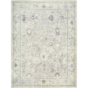 Davina Grey Beige Rug 5x7