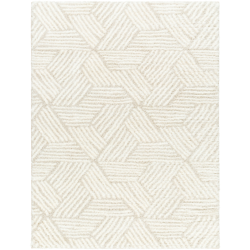 [168898-BB] Cloudy Shag Rug 5x7