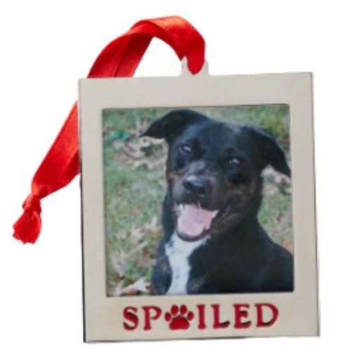 [169711-BB] Lenox Picture Frame Charm Ornament "Spoiled Pet"