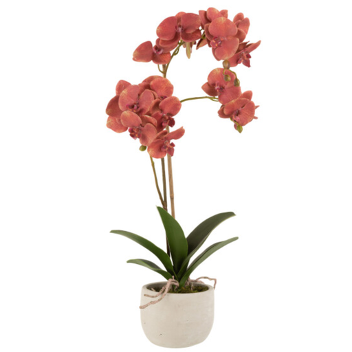[171713-BB] Deep Red Orchid in Ceramic Pot 23in