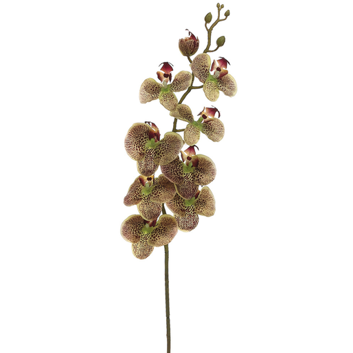 [171872-BB] Phalaenopsis Spray Green & Burgundy 40in