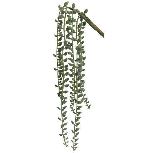 [171432-BB] Senecio Vine 16in