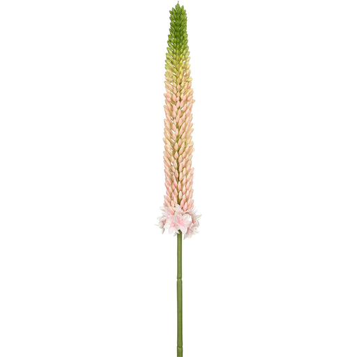 [171875-BB] Foxtail Lily Spray Pink 33in