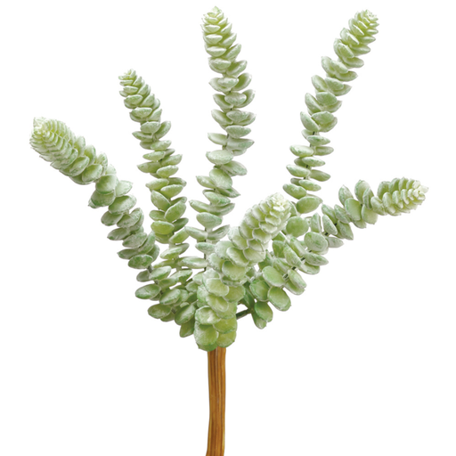 [171901-BB] Donkey Tail Pick Green & Grey 9in