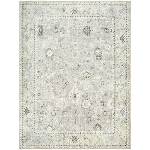 [173264-BB] Davina Grey Beige Rug 5x7