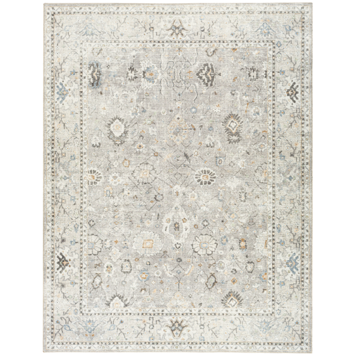 [173265-BB] Davina Grey Beige Rug 6x9
