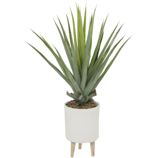 [173681-BB] Aloe in White Footed Planter 42in