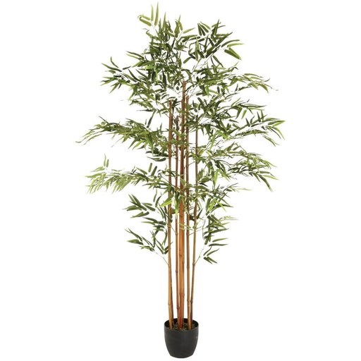[173762-BB] Bamboo in Pot 185cm