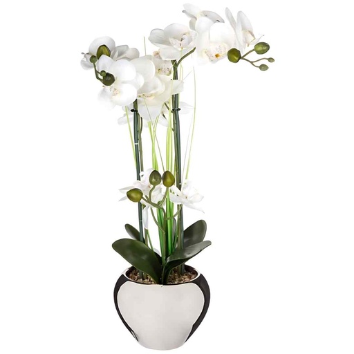 [173765-BB] White Orchid in Silver Pot 20in