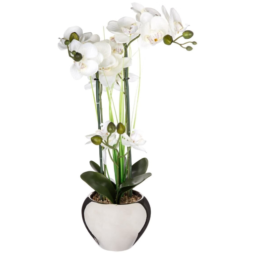 [173765-BB] White Orchid in Silver Pot 53cm
