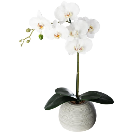 [173785-BB] White Orchid in Cement Pot 21in
