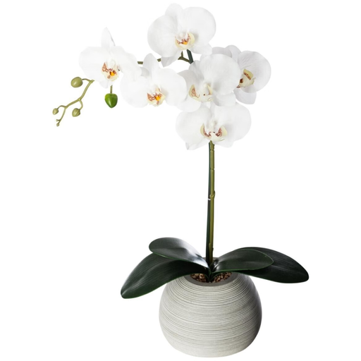 [173785-BB] White Orchid in Cement Pot 53cm