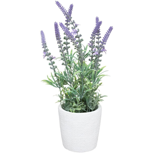[173786-BB] Lavender in Cement Pot 36cm
