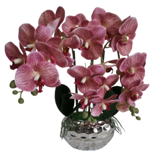 [173922-BB] Potted Orchid Pink 16in