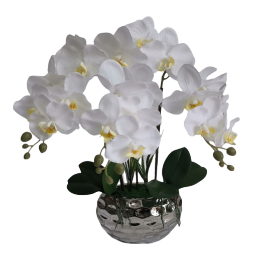 [173923-BB] Potted Orchid White 16in