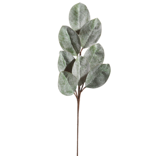 [174355-BB] Iced Magnolia Leaf Spray 25in