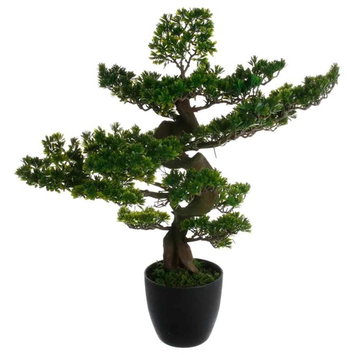 [175186-BB] Bonsai Tree in Black Pot 32in