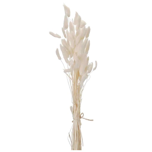 [175272-BB] Bunny Tail Bundle Offwhite