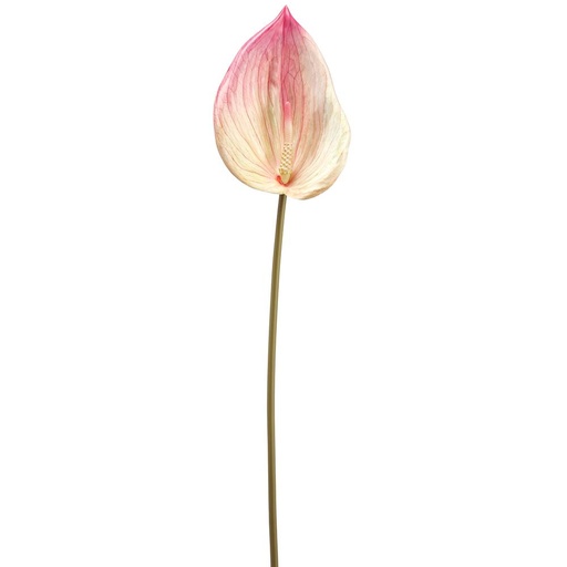 [175120-BB] Anthurium Spray Pink 26in