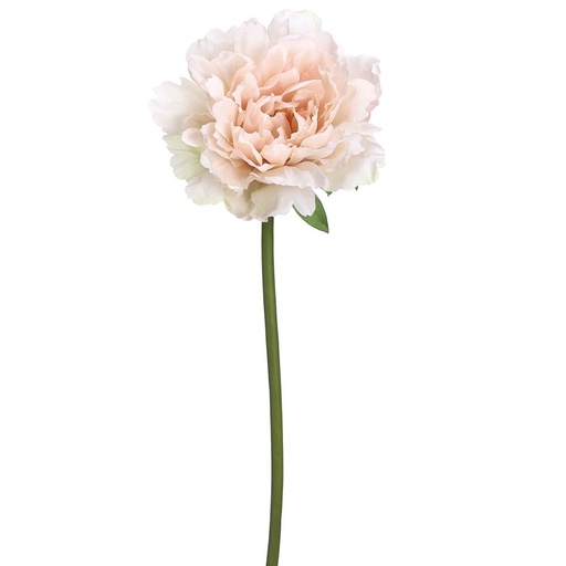 [175813-BB] Peony Spray Soft Pink 19in