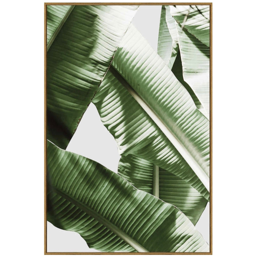 [175963-BB] Banana Leaf I Framed Print on Tempered Glass 24WX36H