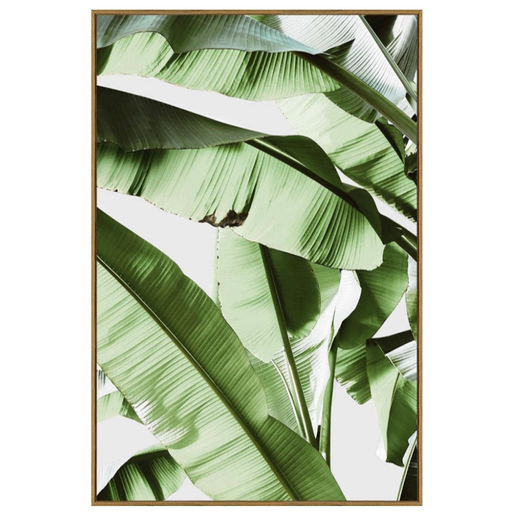 [175964-BB] Banana Leaf II  Framed Print on Tempered Glass 24in x 36in