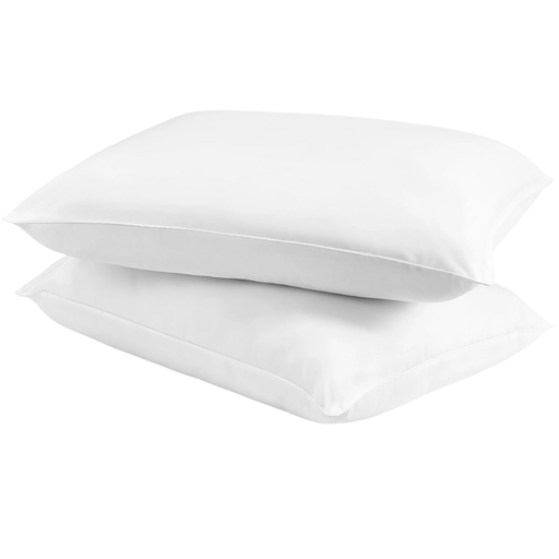 [176357-BB] Queen Firm Pillow 2pk