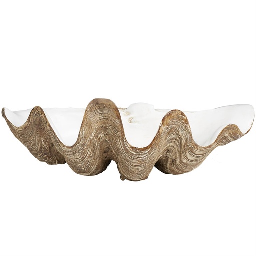 [176877-BB] Clam Shell Decorative Bowl 20in