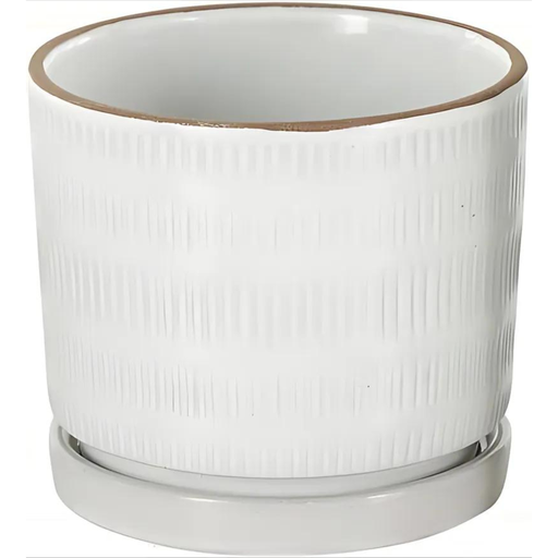 [176934-BB] Ceramic Dot & Line Planter White 4in