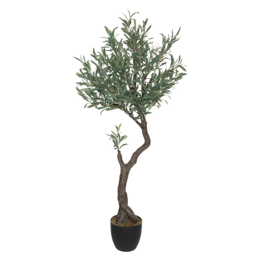 [178205-BB] Olive Tree in Pot 59in