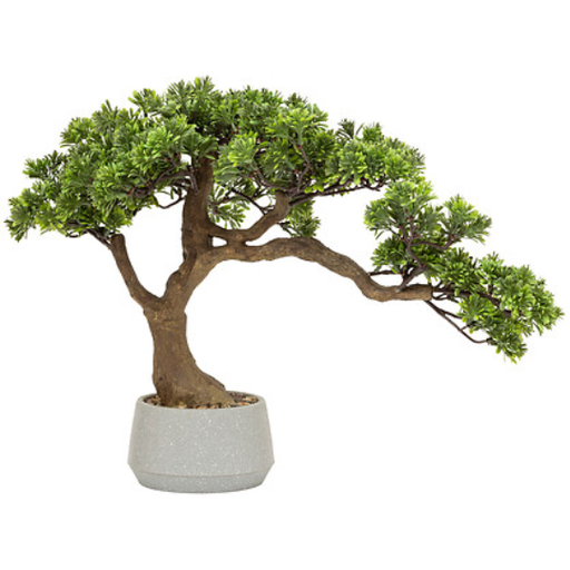 [178501-BB] Polin Bonsai Tree in Ceramic Pot 17.7in
