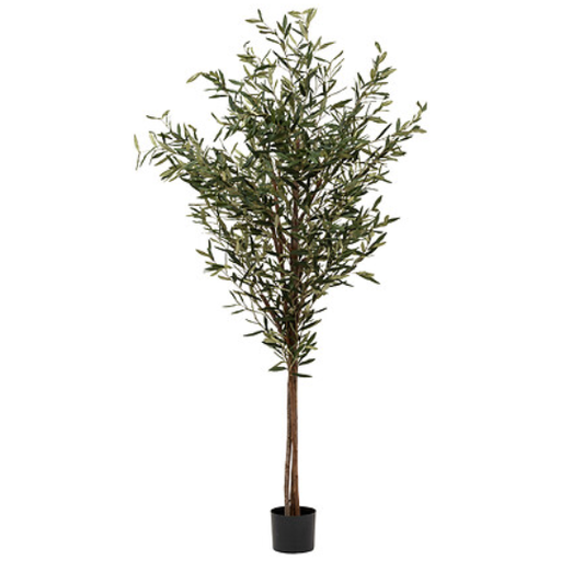 [178502-BB] Martin Olive Tree in Black Pot 82.6in