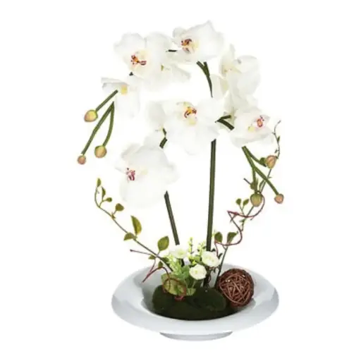 [178507-BB] White Orchid in Ceramic Dish 18in