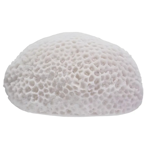 [178537-BB] Coral Shaped LED Light White 6x3.25in
