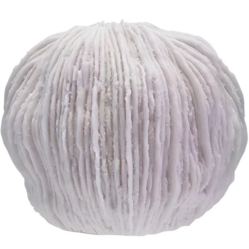 [178538-BB] Coral Shaped LED Light White 11x9in