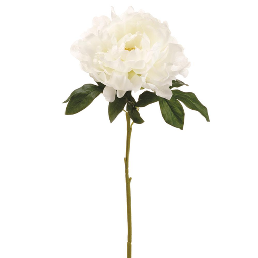 [178809-BB] Peony Spray White 23in