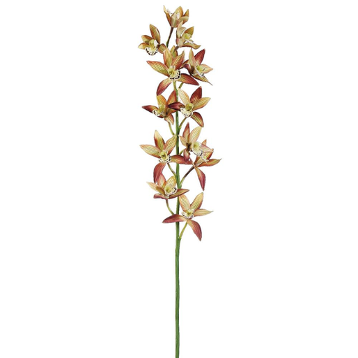 [178823-BB] Cymbidum Orchid Spray Rust Yellow 38in