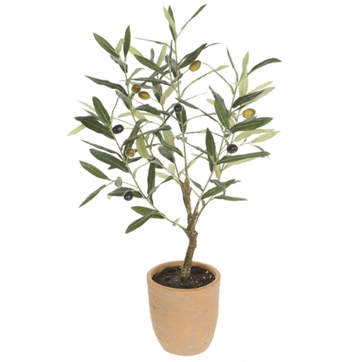 [178825-BB] Olive Tree in Cement Pot 26in