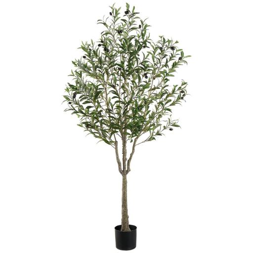 [178826-BB] Olive Tree 63in