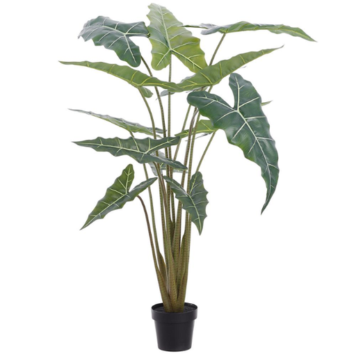 [178827-BB] Alocasia Tree 63in