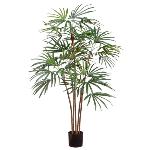 [178828-BB] Honey Lady Palm Tree 59in