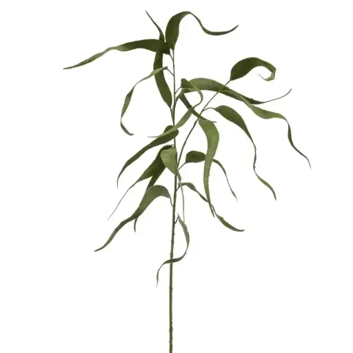 [179527-BB] Eucalyptus Spray Green 31.5in