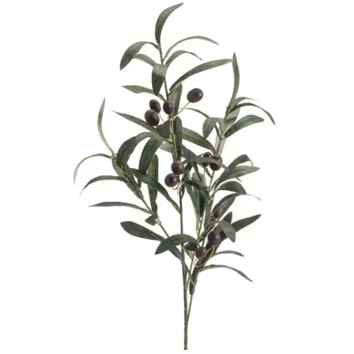 [179534-BB] Olive Spray 29.5in